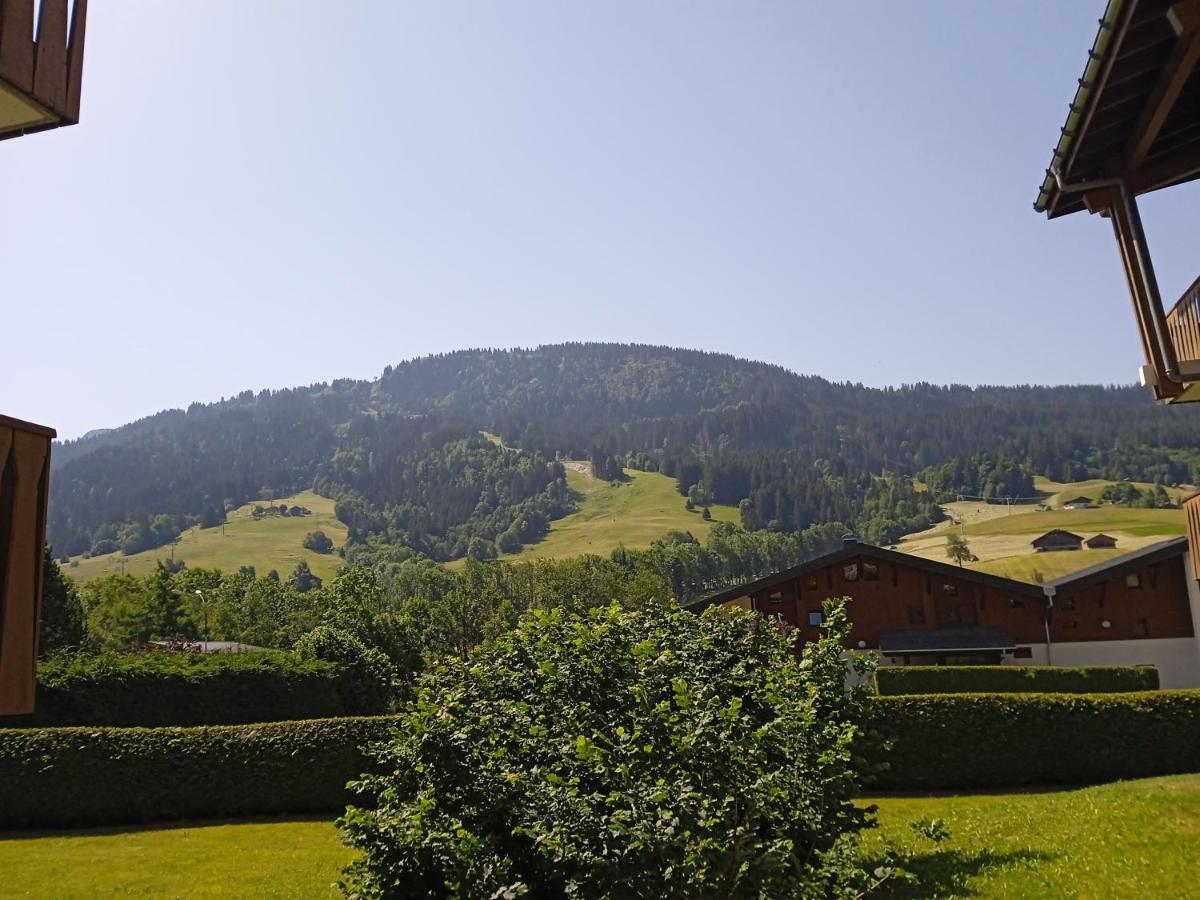Studio Praz Sur Arly Appartement Buitenkant foto